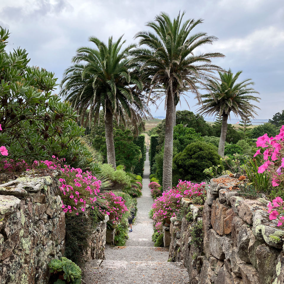 Exotic plants at Tresco Abbey Garden