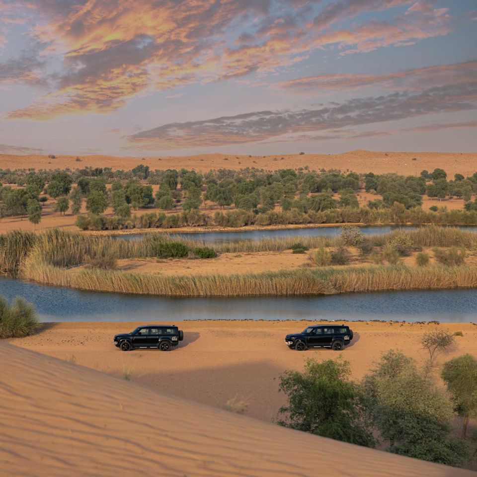 On safari in the Arabian desert