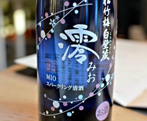 MIO.jpg
