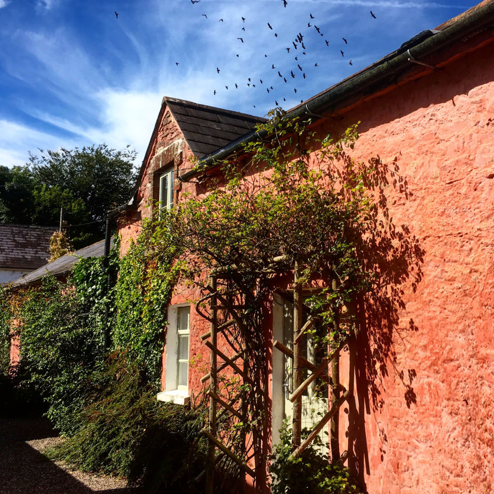 coral-cottage-(where-I-stayed)