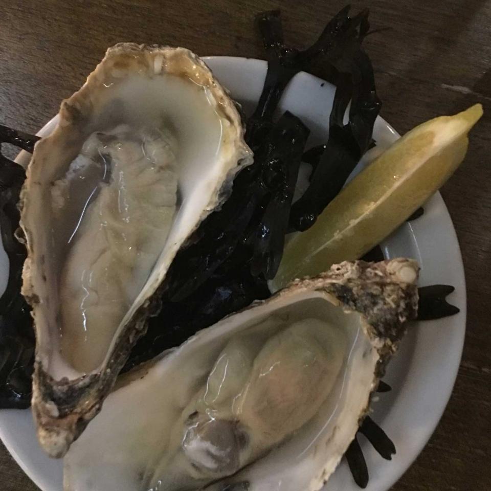 Oysters
