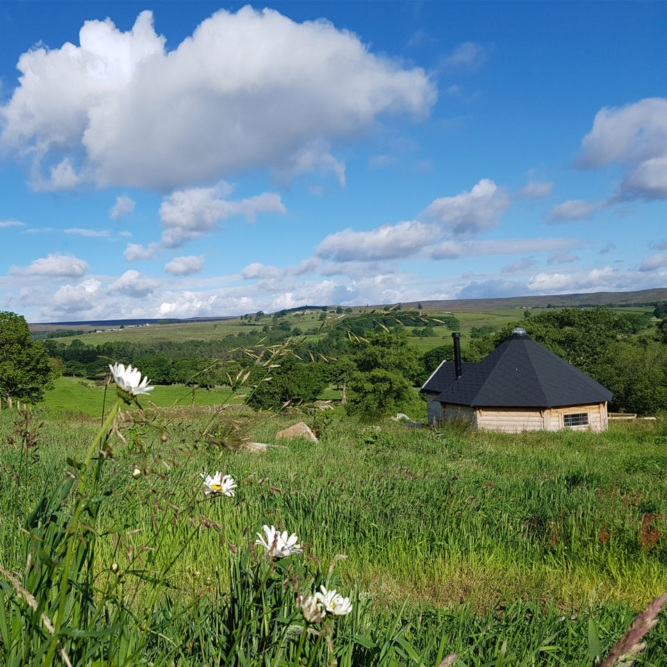 Little Seed Field's beautiful location
