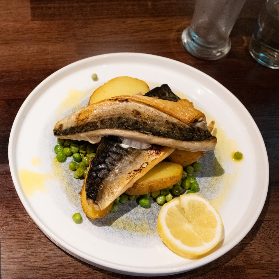 IRELAND-Rusty-Mackerel-1232 CREDIT Diana Jarvis