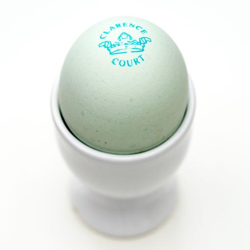 egg.jpg