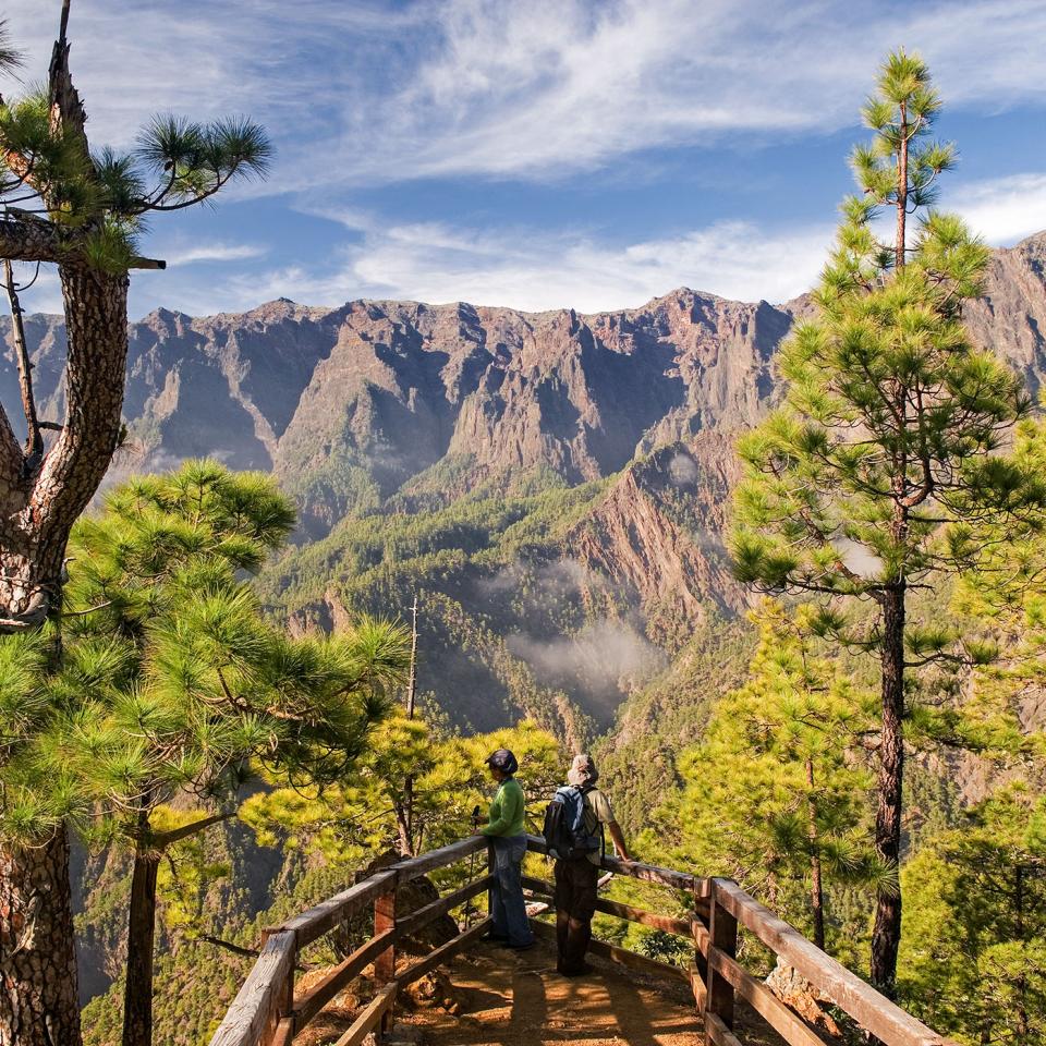 LaPalma-Cumbrecita-S.Santos