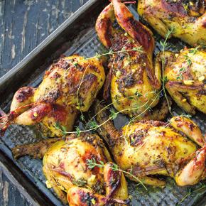 mustard_quail.jpg