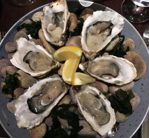 1oysters1.jpg