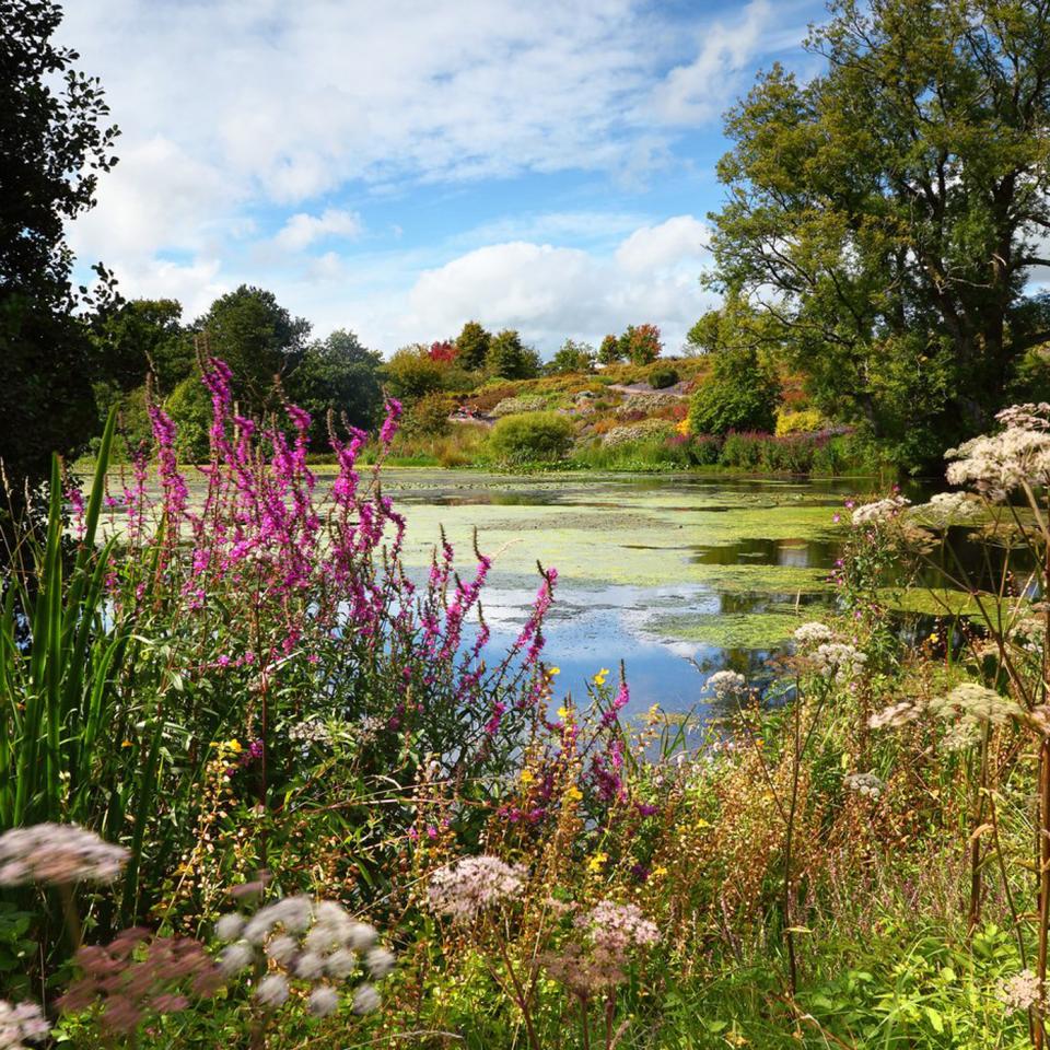 Botanical gardens
