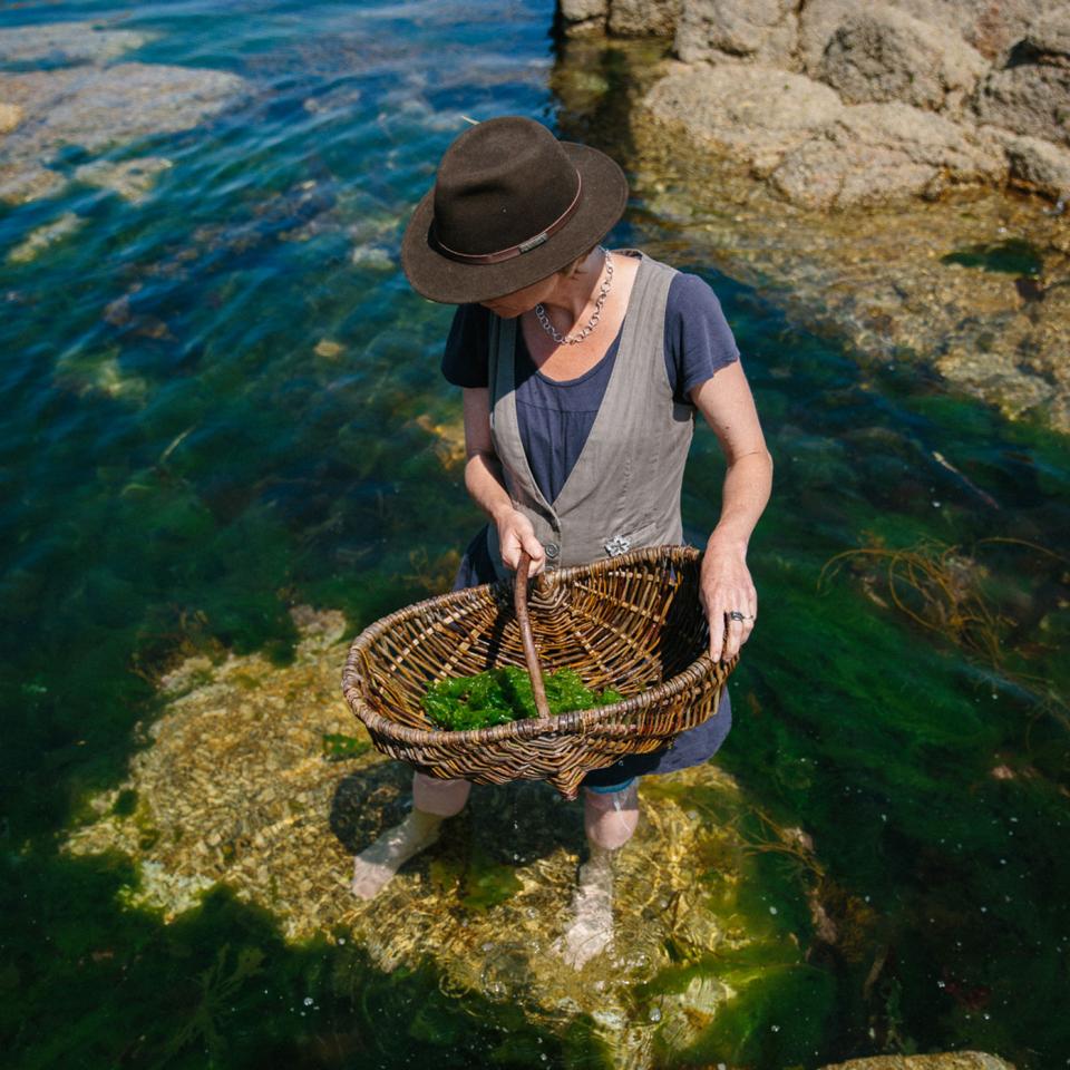 foraging