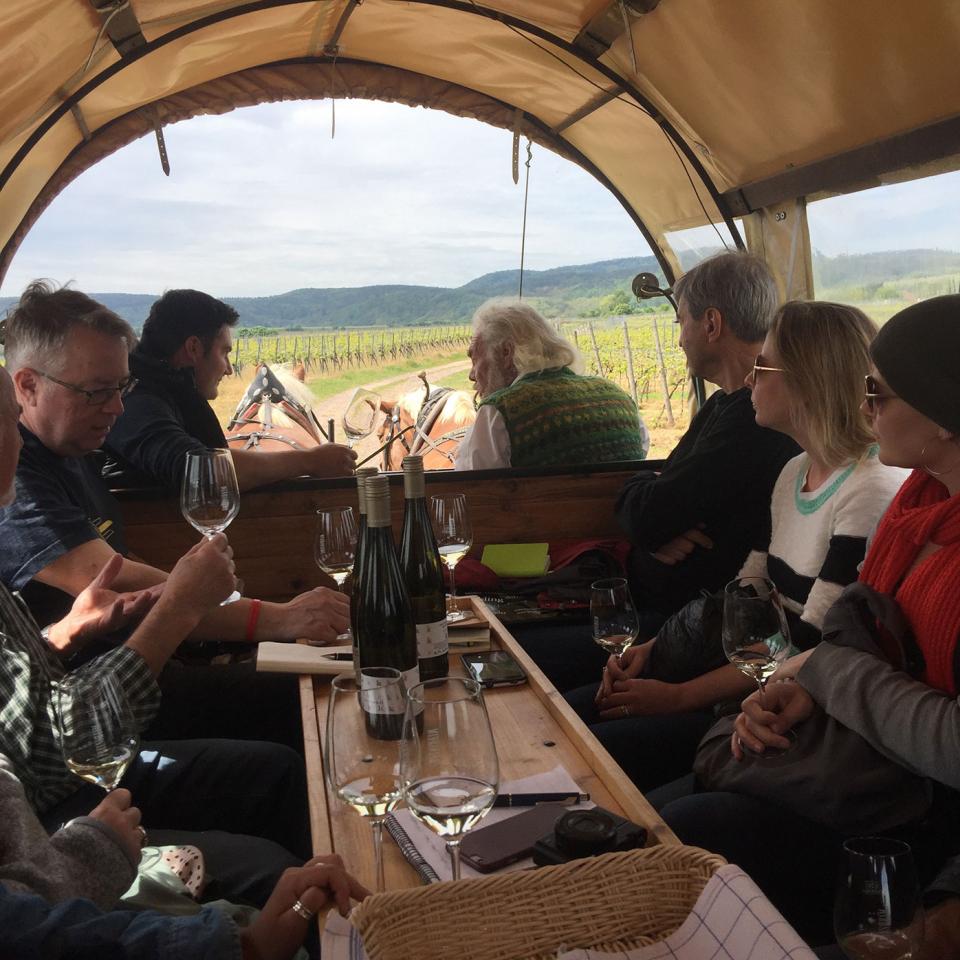 Tasting German Sauvignon Blanc in a horse-drawn wagon