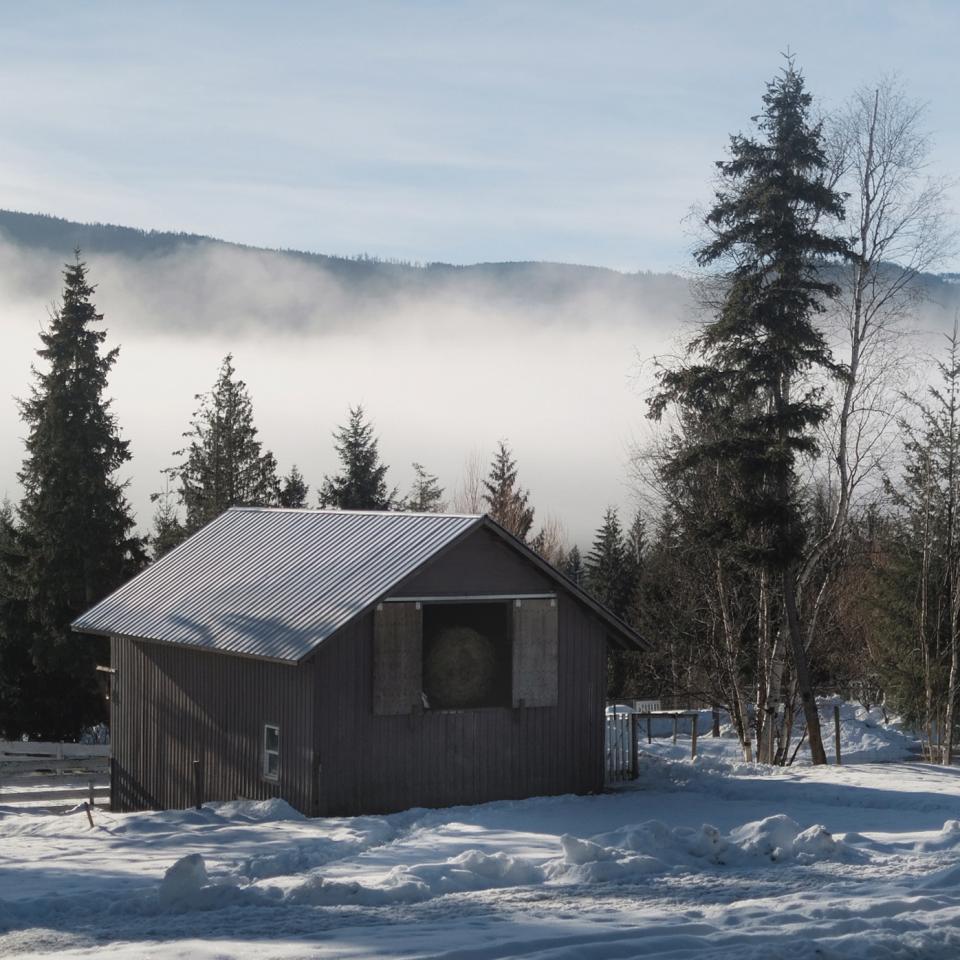 ‘It took a freezing winter to rediscover the warmth of life,’ says John