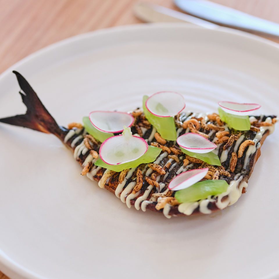 Fillet of white mackerel at the brasserie