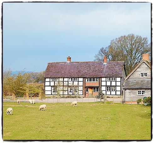 dd-bearwood-house.jpg