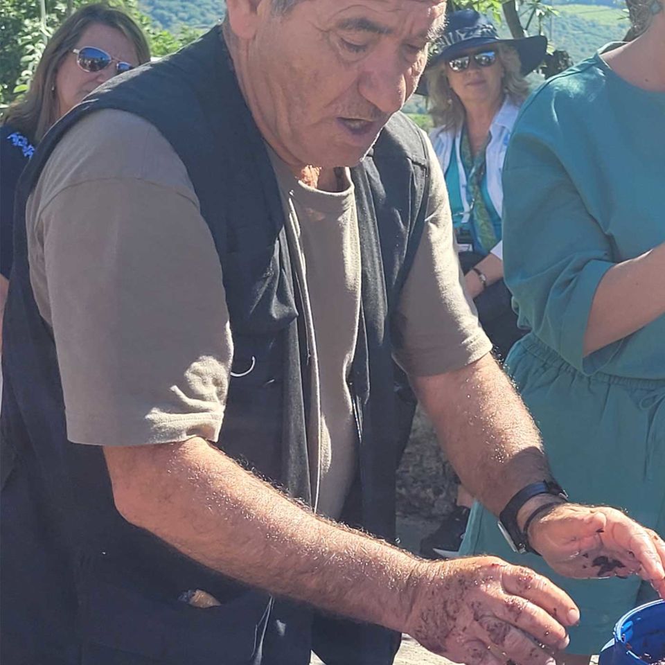 Vasilis shows visitors how to make wine