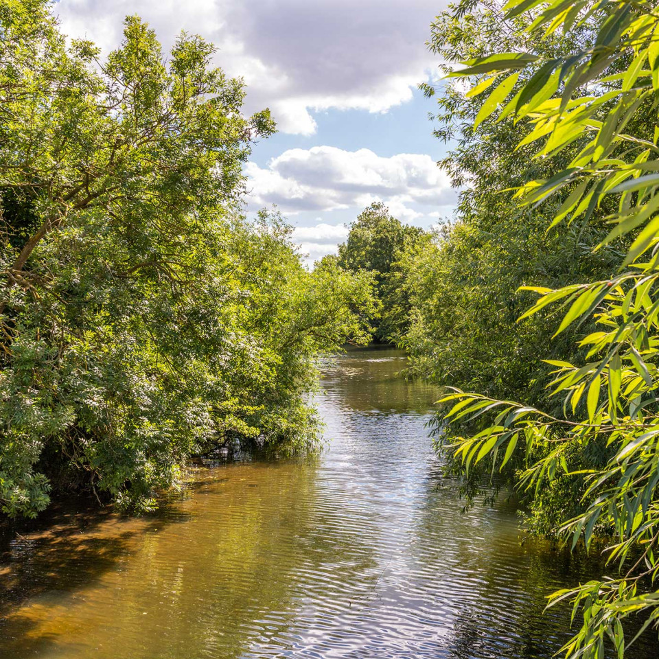 The River Stour at Dedham. Image: Getty Images