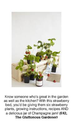 Gift_guide18.jpg