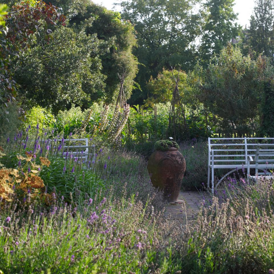 Botanical gardens
