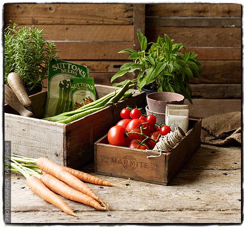 allotment-shot.jpg