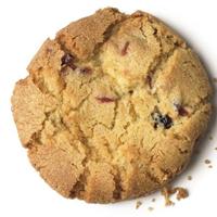 cranberrycookie.jpg