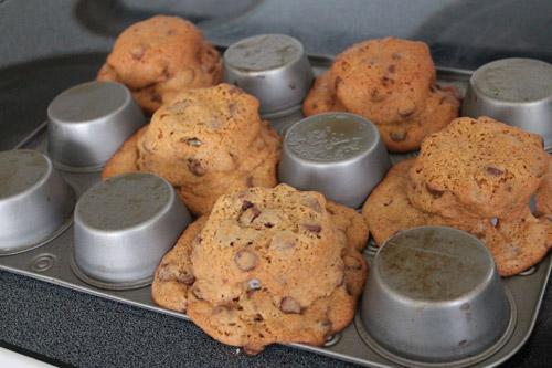 biscuit-disaster-500.jpg
