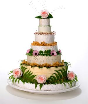 cheese-cake.jpg