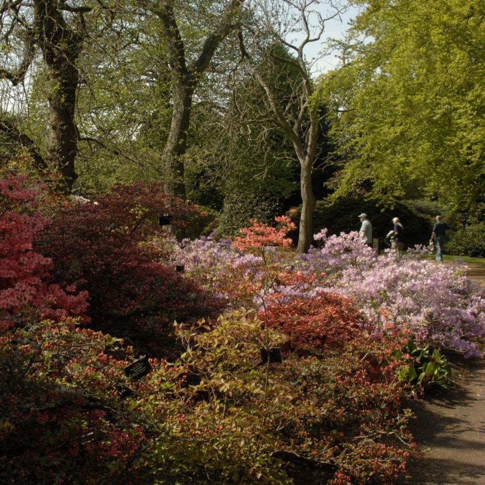 Botanical gardens