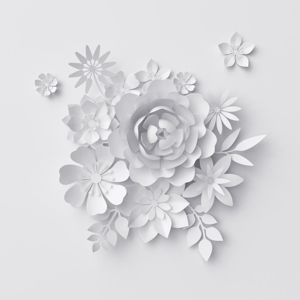 Watch-yourself-blossom-2