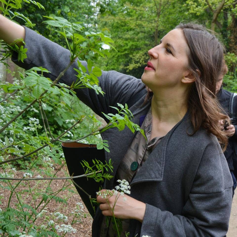 Foraging-in-Abney-Gardens-Hackney