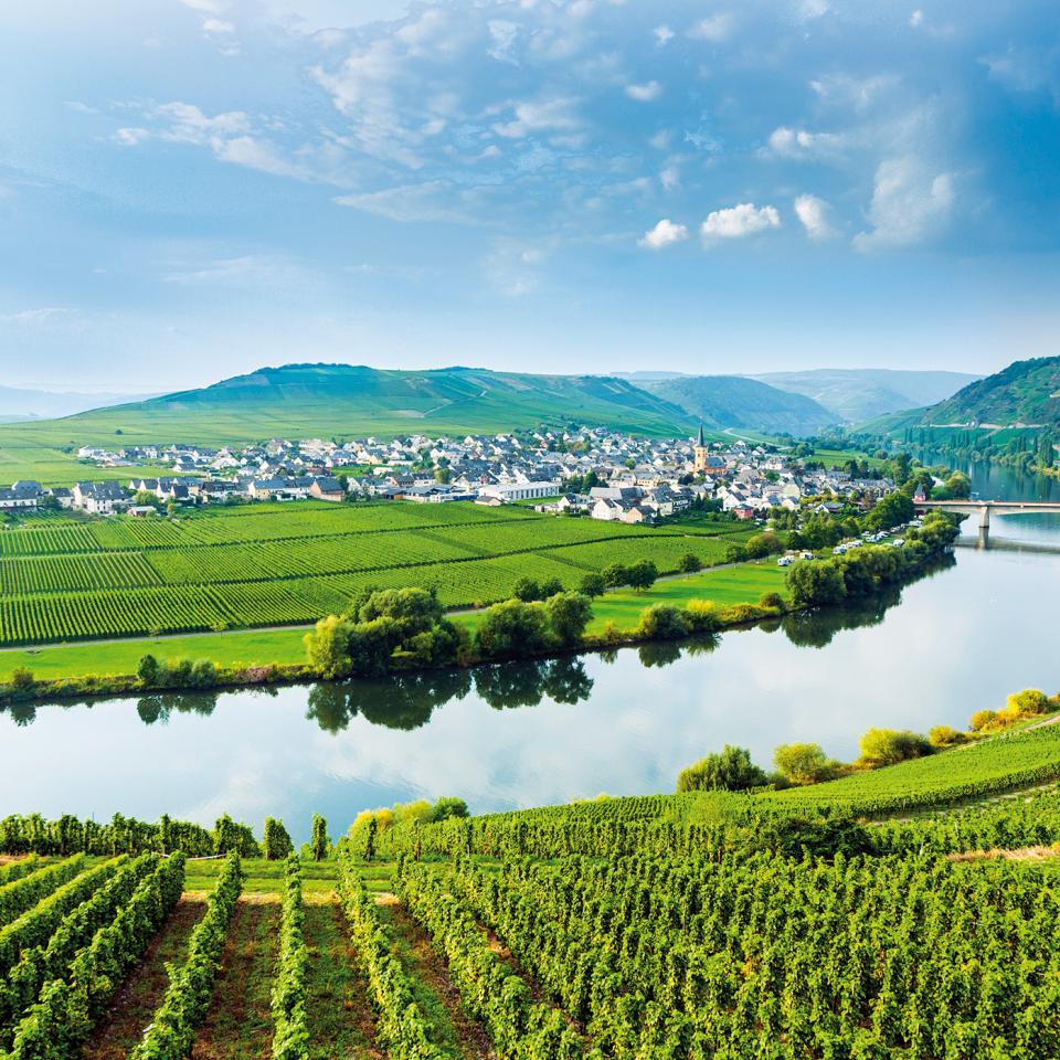 The-Blue-Danube