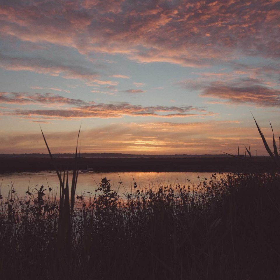 Across the marshes. Image: Rebecca Douglas