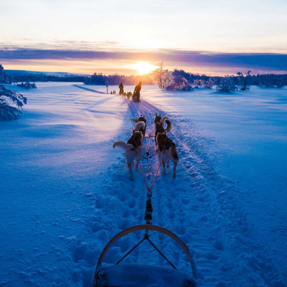 The husky safari is a ‘two-hour route through forest and across the lake'. Image: K Chae and Visit Finland
