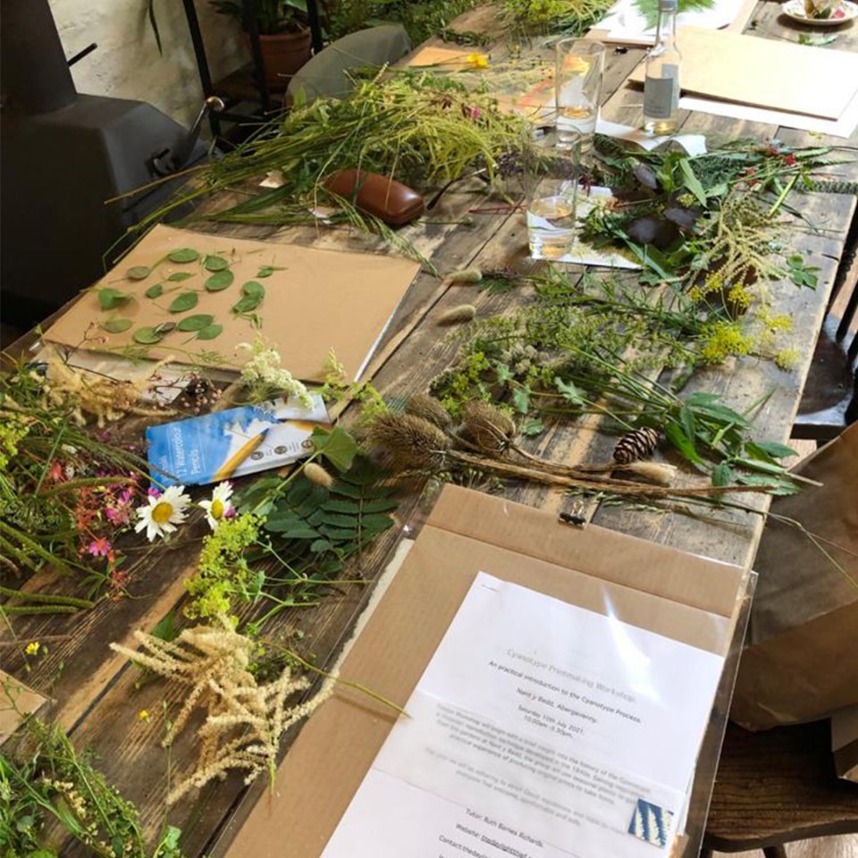 Flora collected from Nant y Bedd gardens for the art workshop