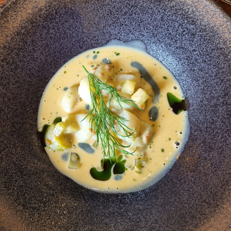 Scallops at Viðvík