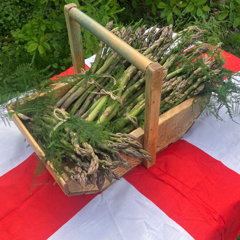 Asparagus from the festival