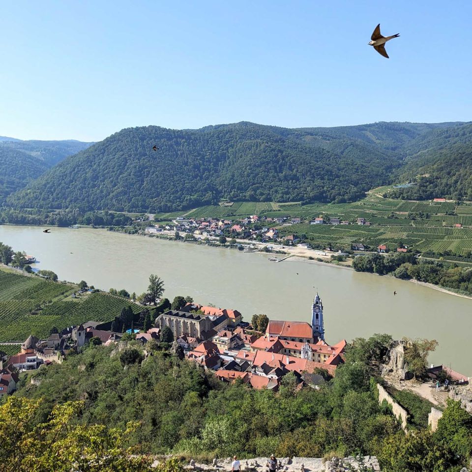 Breathtaking views view from the great Austrian Wachau Valley