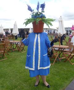 ascot-1.jpg