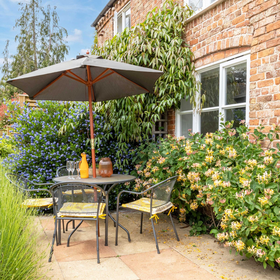 Image: William Benton-Fife