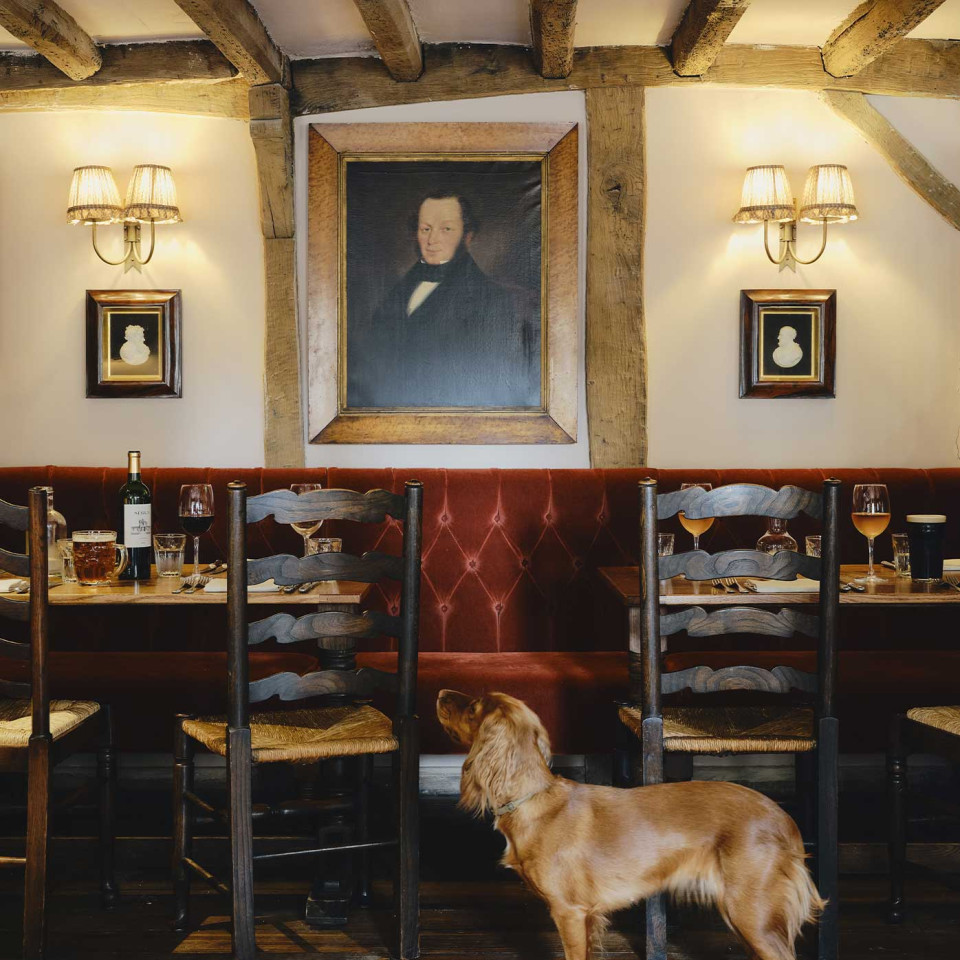 Pup Skye looking at a portrait of Turner on the wall of the Swan Inn. Credit: Dean Hearne