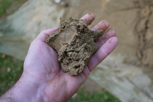 handful-of-cob.jpg