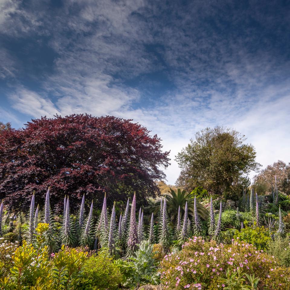 Botanical gardens