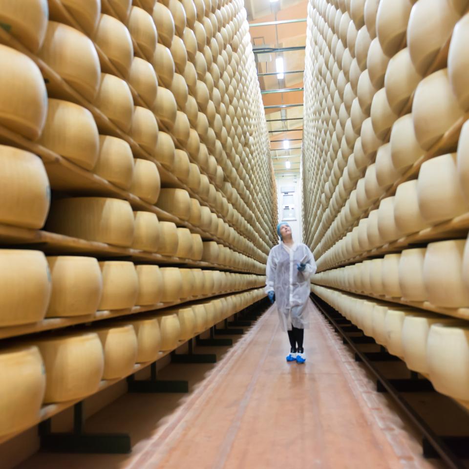 Parmesan-3