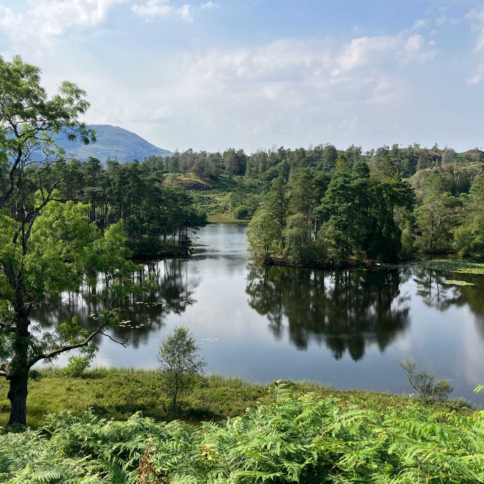 The idyllic beauty spot of Tarn Hows