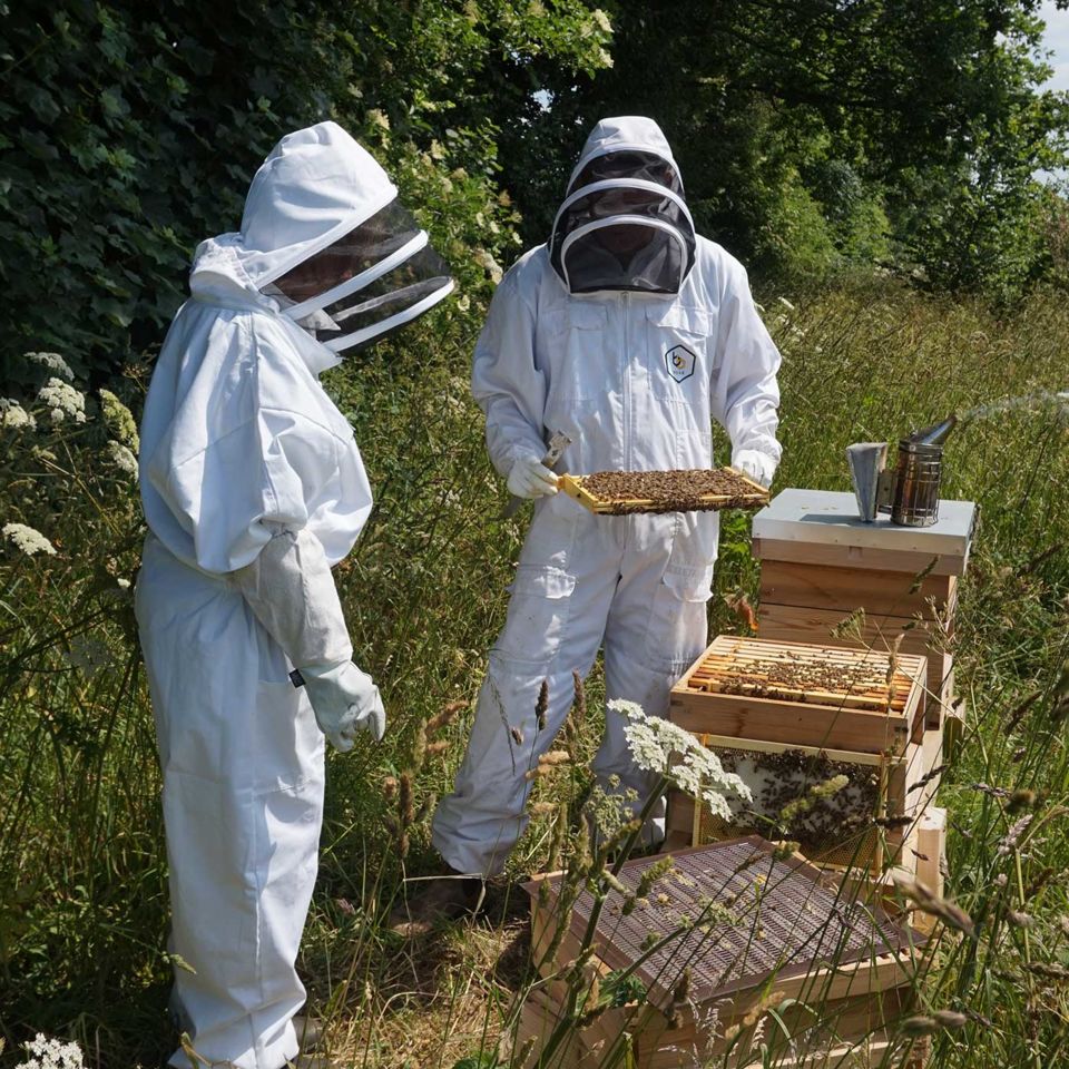 Getting up close and personal with the Calcot honeybees