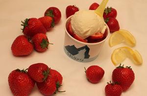 gelato.jpg