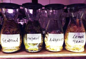 botanicals.jpg