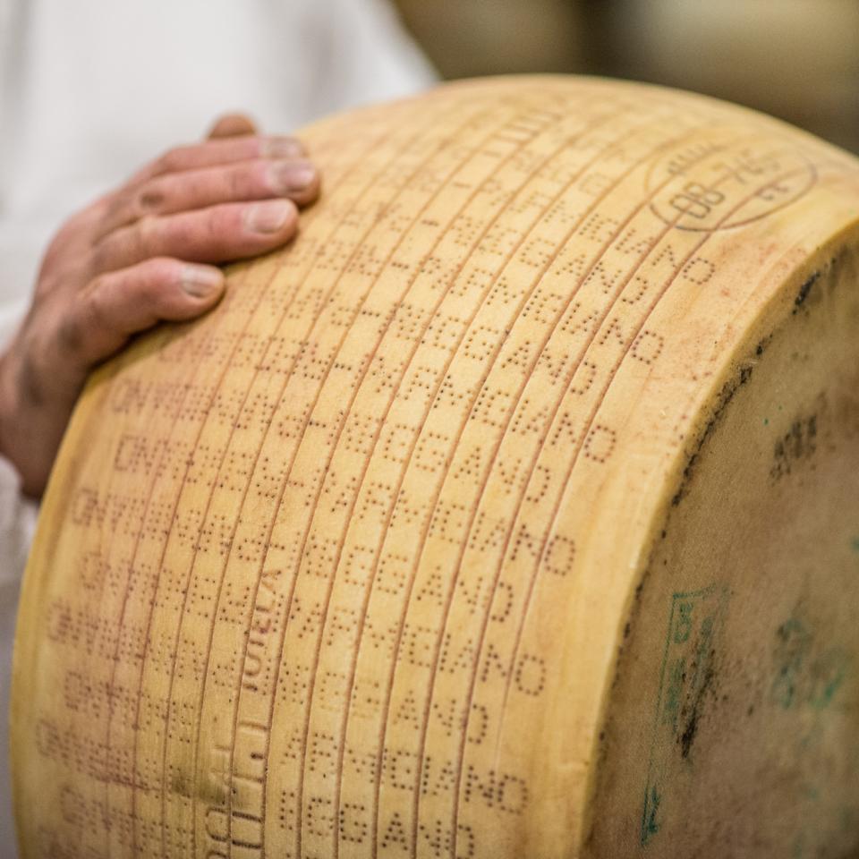 Parmesan-2