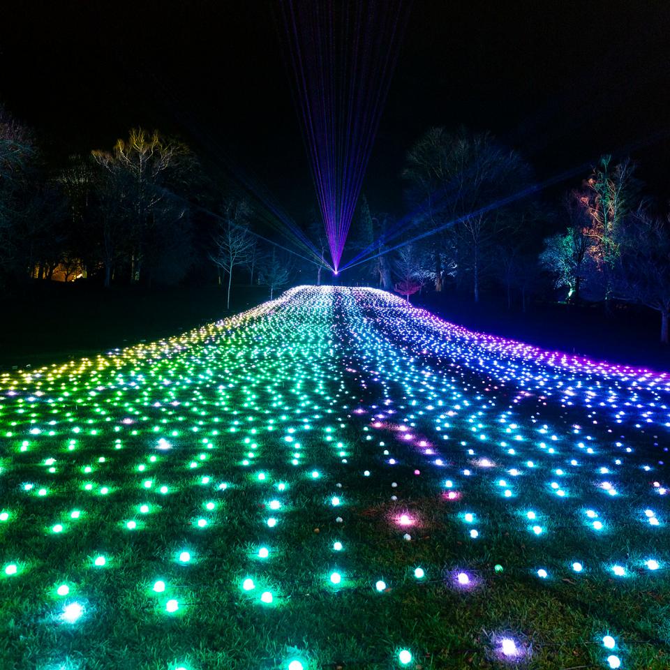 field-of-light-CCL