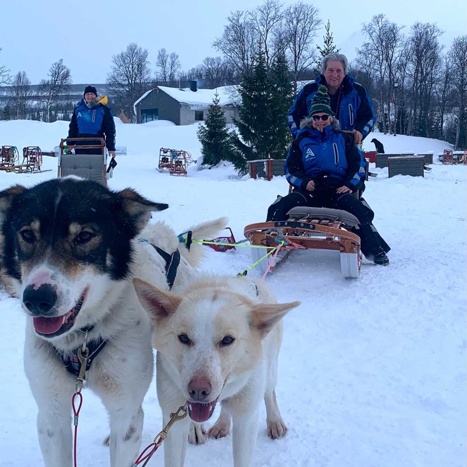 Husky-sledding along snowy forest tracks.